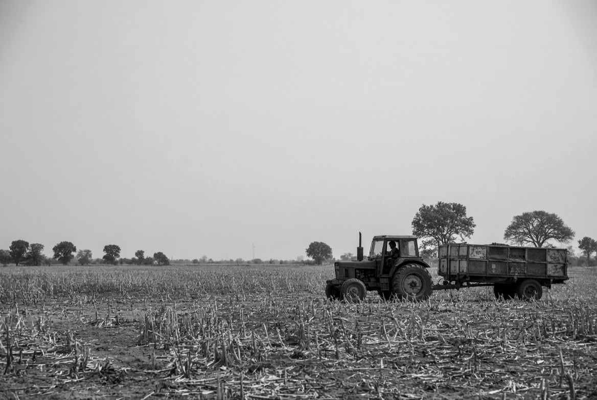 A tractor pulling a trailer across a harvested field.